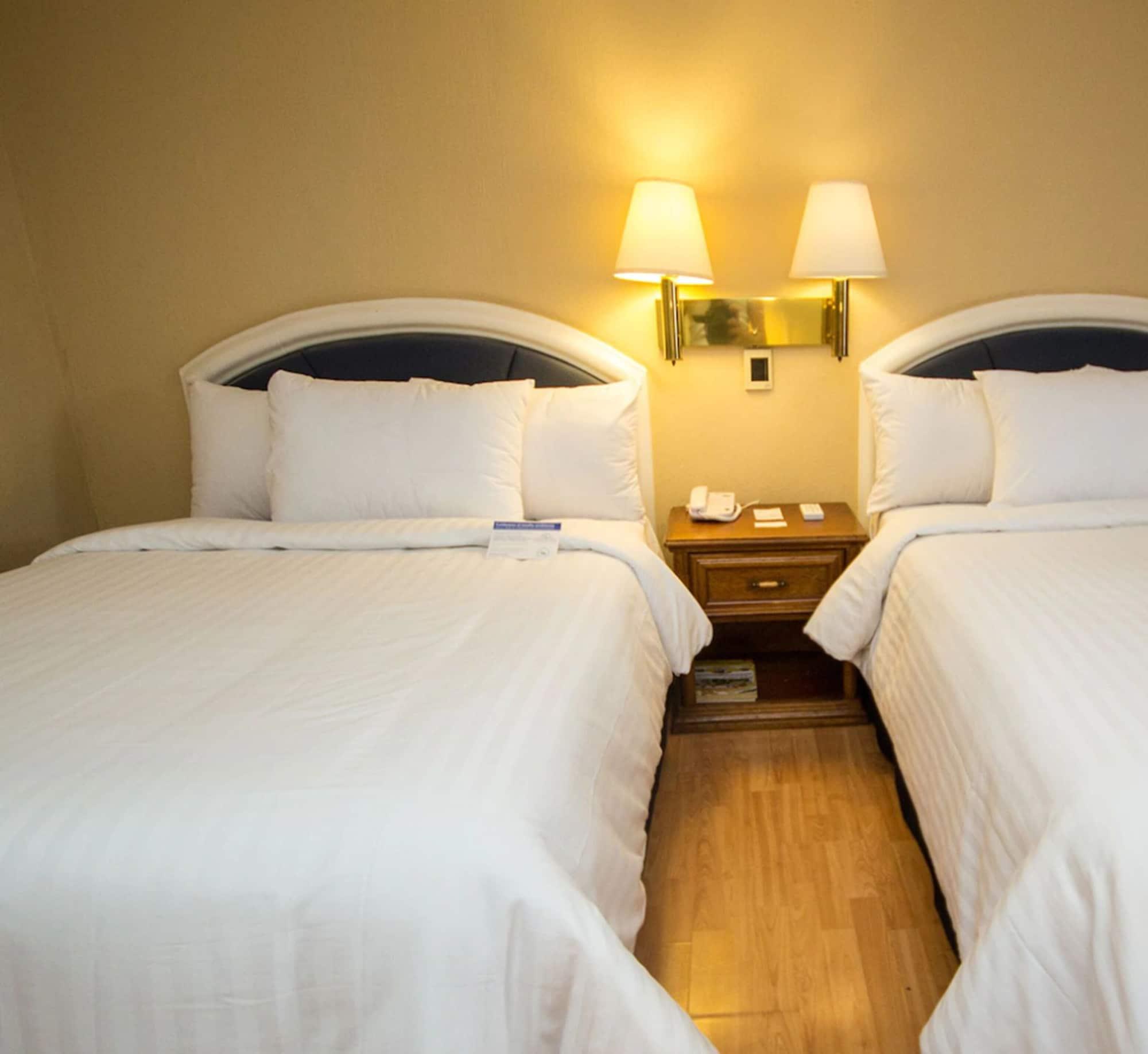 Hotel Gran Plaza & Convention Center Guanajuato Exterior photo