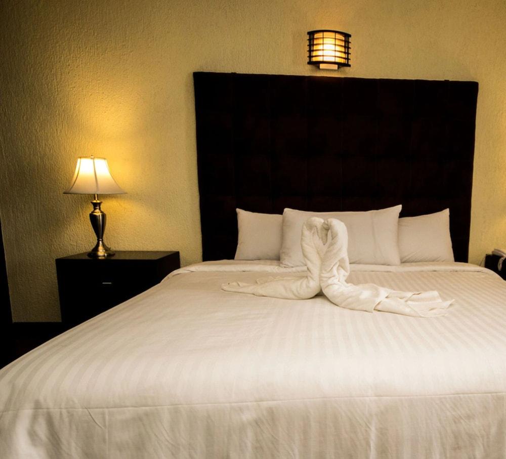 Hotel Gran Plaza & Convention Center Guanajuato Exterior photo